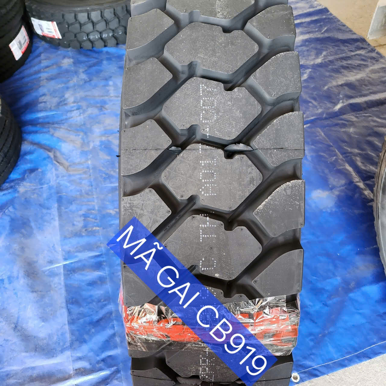 Chaoyang Thái Lan 12.00R20/22PR/CB919. - 12.00R20, size 12.00R20 Có săm